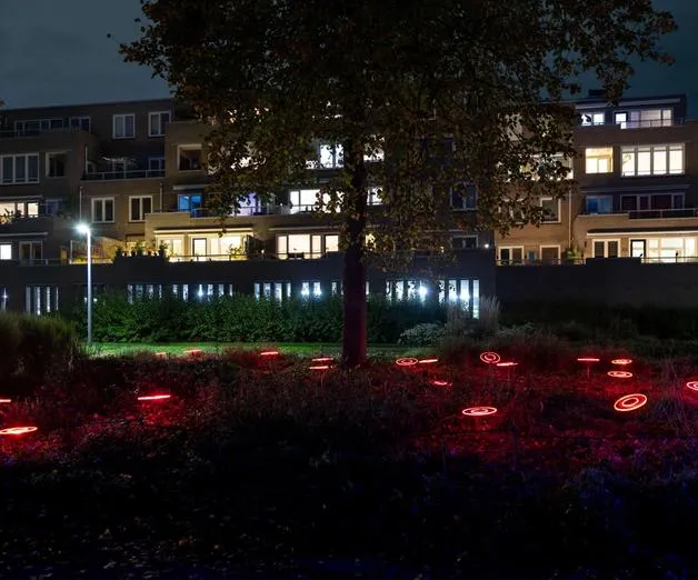Night Flowers